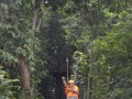 Tn DSC 4297